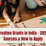 Art Conservation Grants in India – 2025 Funding Sources & How to Apply
